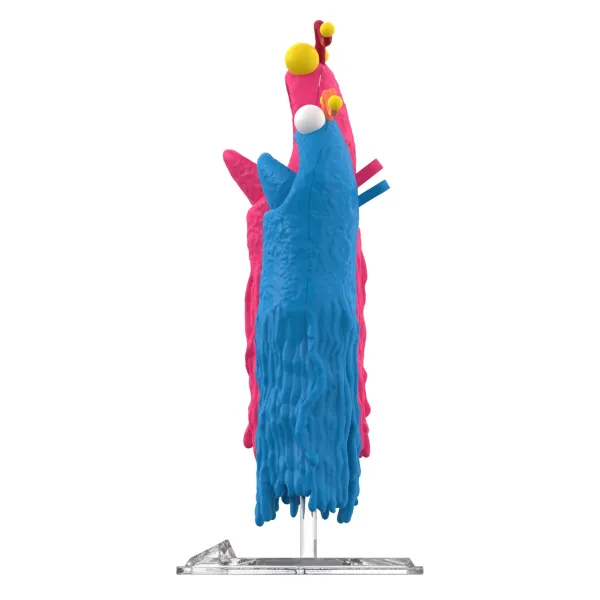 Super7 Sesame Street^Sesame Street Reaction Figures Wave 1 - Bert, Ernie, Count Von Count & Yip Yip Martians