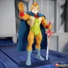 Super7 Thundercats^Thundercats Ultimates! Wave 09 - Jaga (Toy Recolor)