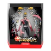 Super7 Thundercats^Thundercats Ultimates! Wave 5.5 - Mandora